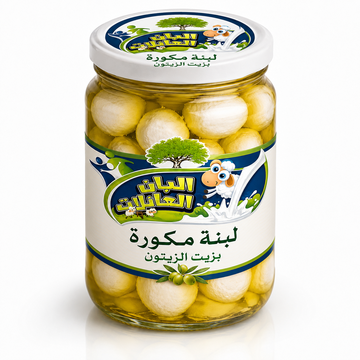 لبنة مكورة سادة بزيت الزيتون